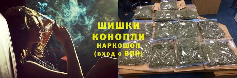 купить закладку  Киселёвск  Конопля OG Kush 